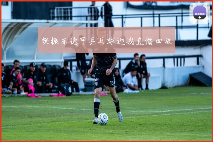 樊振东德甲乒乓球迎战直播回放