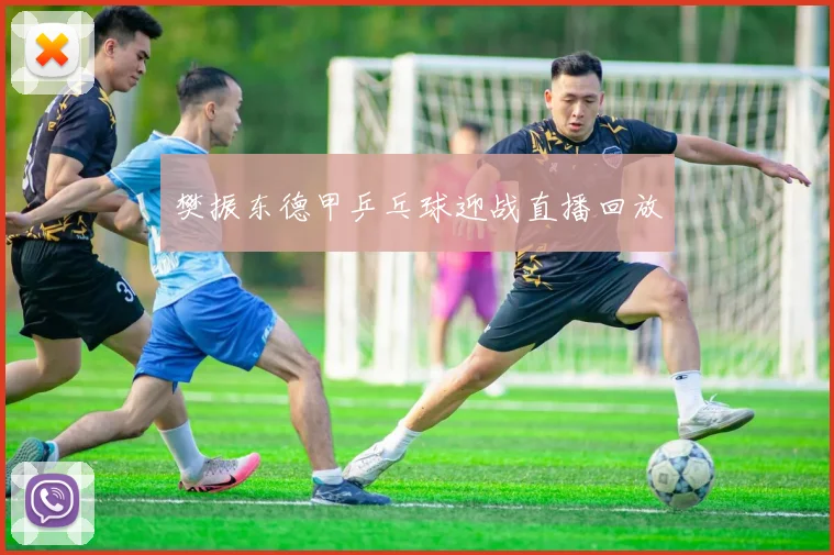 樊振东德甲乒乓球迎战直播回放