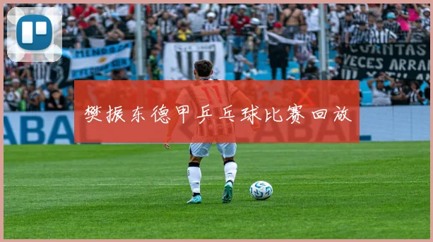 樊振东德甲乒乓球比赛回放