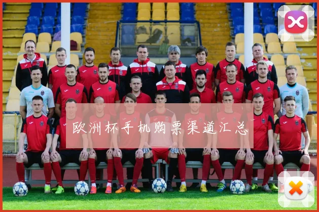 欧洲杯手机购票渠道汇总