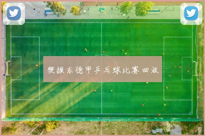樊振东德甲乒乓球比赛回放