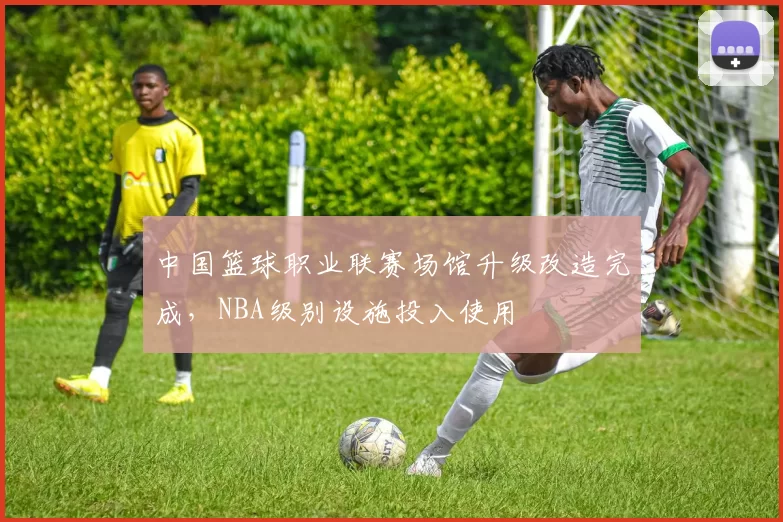 中国篮球职业联赛场馆升级改造完成,NBA级别设施投入使用