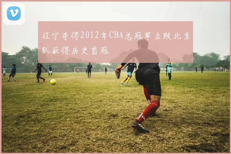 辽宁夺得2012年CBA总冠军击败北京队获得历史首冠