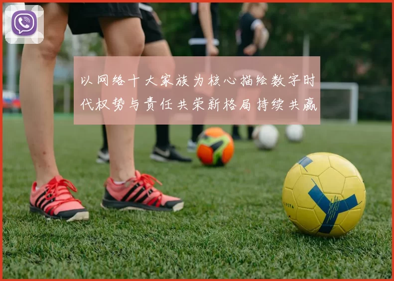 以网络十大家族为核心描绘数字时代权势与责任共荣新格局持续共赢